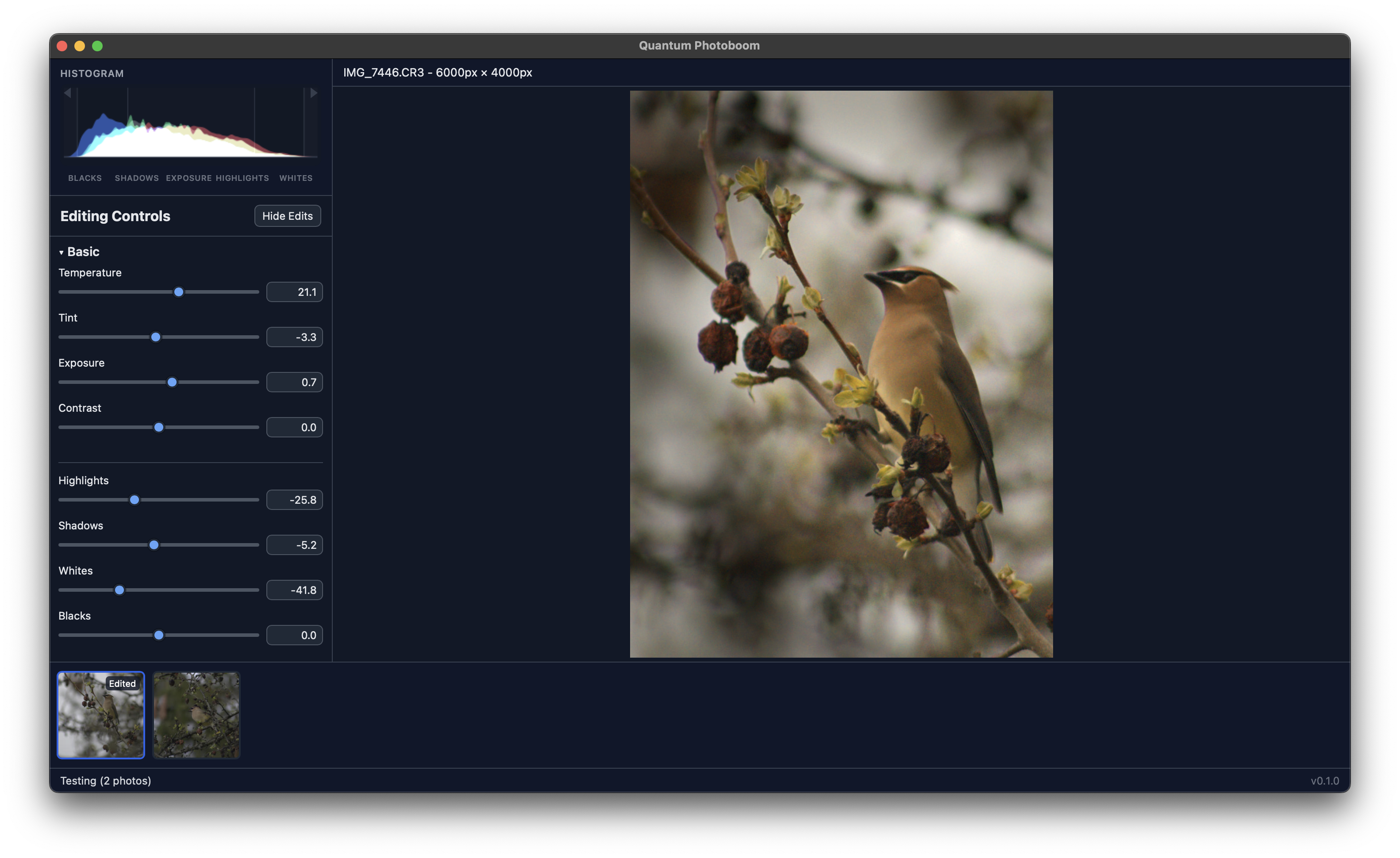 Screenshot of the Quantum Photoboom interface showing the editing sidebar, main preview, and filmstrip.
